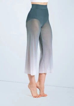 Weissman Ombre Mesh Culotte Pants -Dance Costume Store PL12375 pine 2117 29677.1698450492