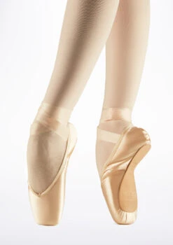Bloch Amelie Pointe Shoe -Dance Costume Store bl s0103 bloch amelie pointe shoe pink front T 81078.1698800443