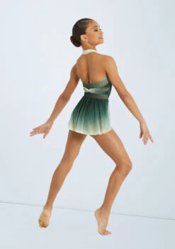 Weissman Lifelines -Dance Costume Store pl11371 weissman draped ombre mesh leotard green back 00936.1678891376