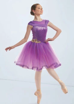 Weissman City Of Stars 5 Weissman City Of Stars -Dance Costume Store wn15894 amethyst 4299 52549.1698827516