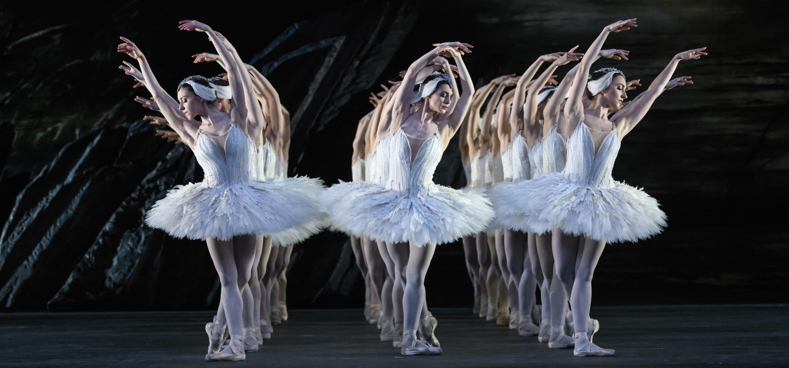 Dance Costume Store -Dance Costume Store 1 scaled