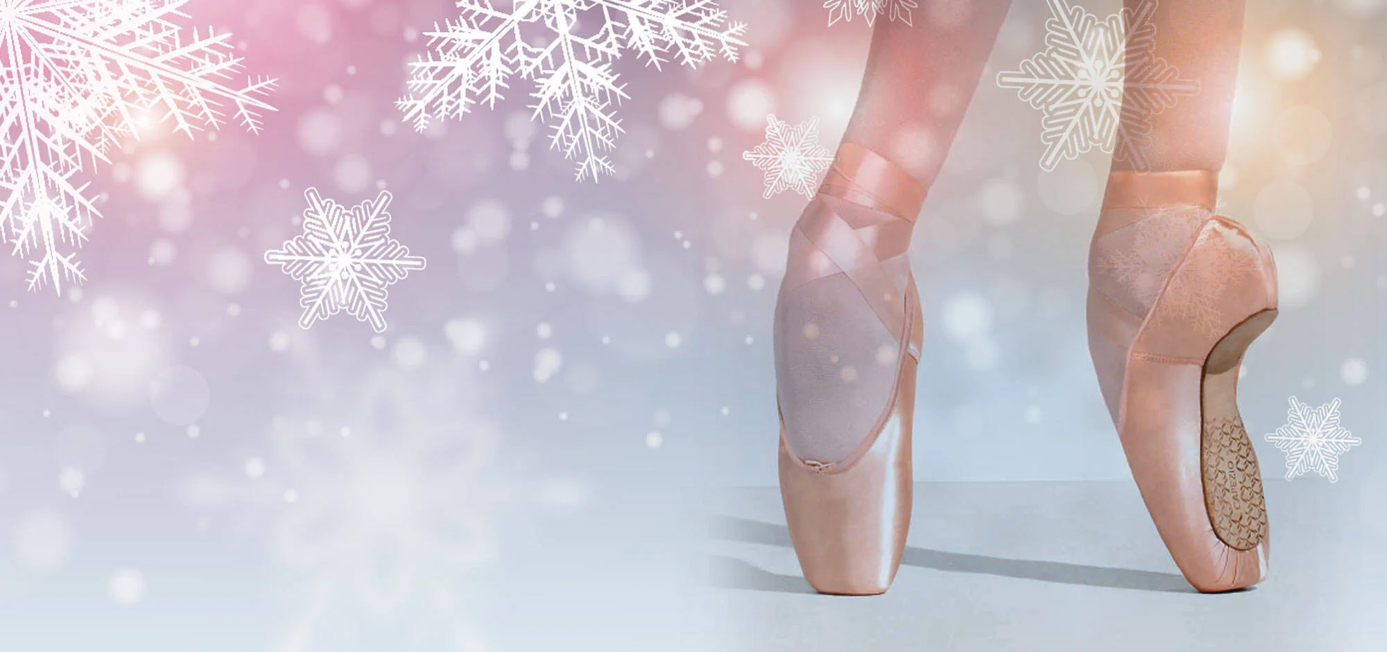 Dance Costume Store -Dance Costume Store 3